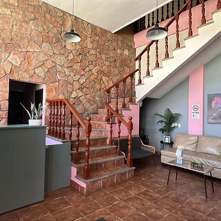 Hotel Colonos Los Cabos Cabo San Lucas Zewnętrze zdjęcie