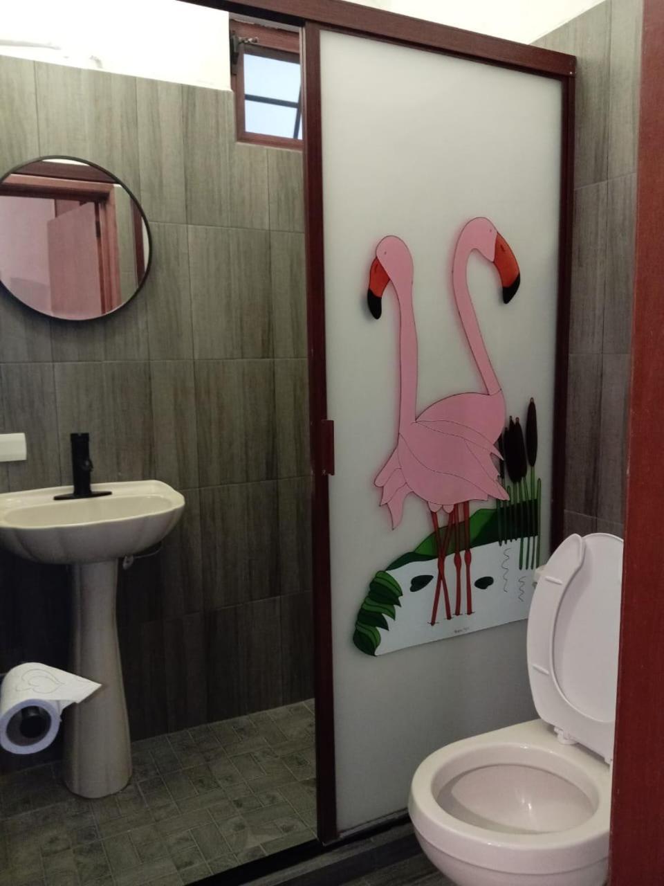 Hotel Colonos Los Cabos Cabo San Lucas Zewnętrze zdjęcie