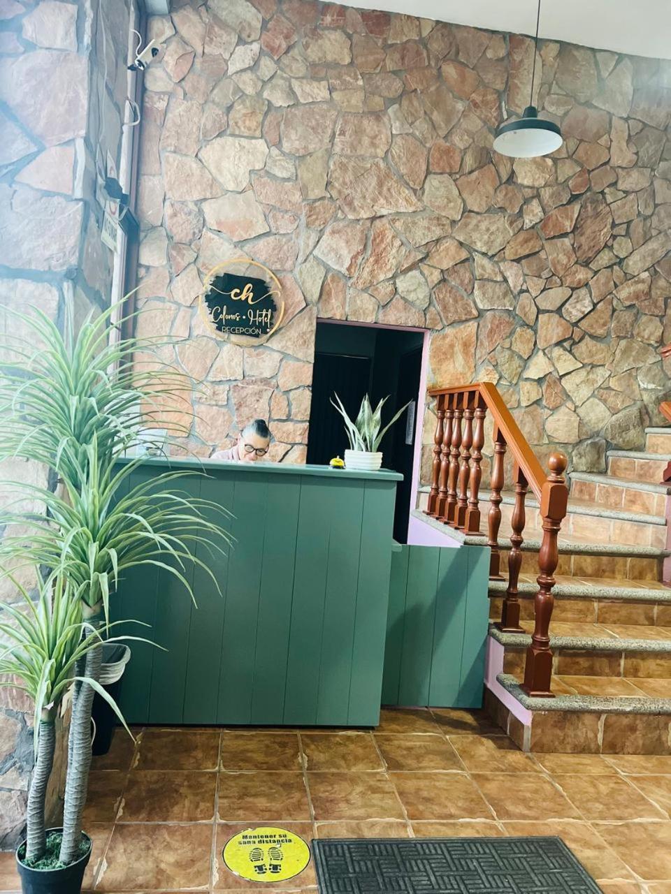 Hotel Colonos Los Cabos Cabo San Lucas Zewnętrze zdjęcie