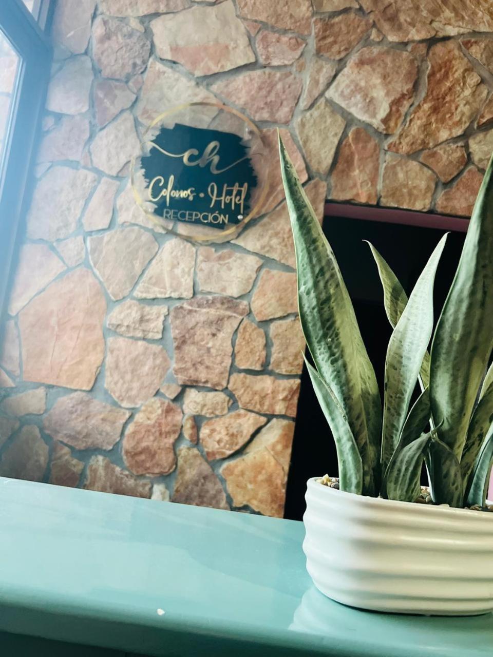 Hotel Colonos Los Cabos Cabo San Lucas Zewnętrze zdjęcie